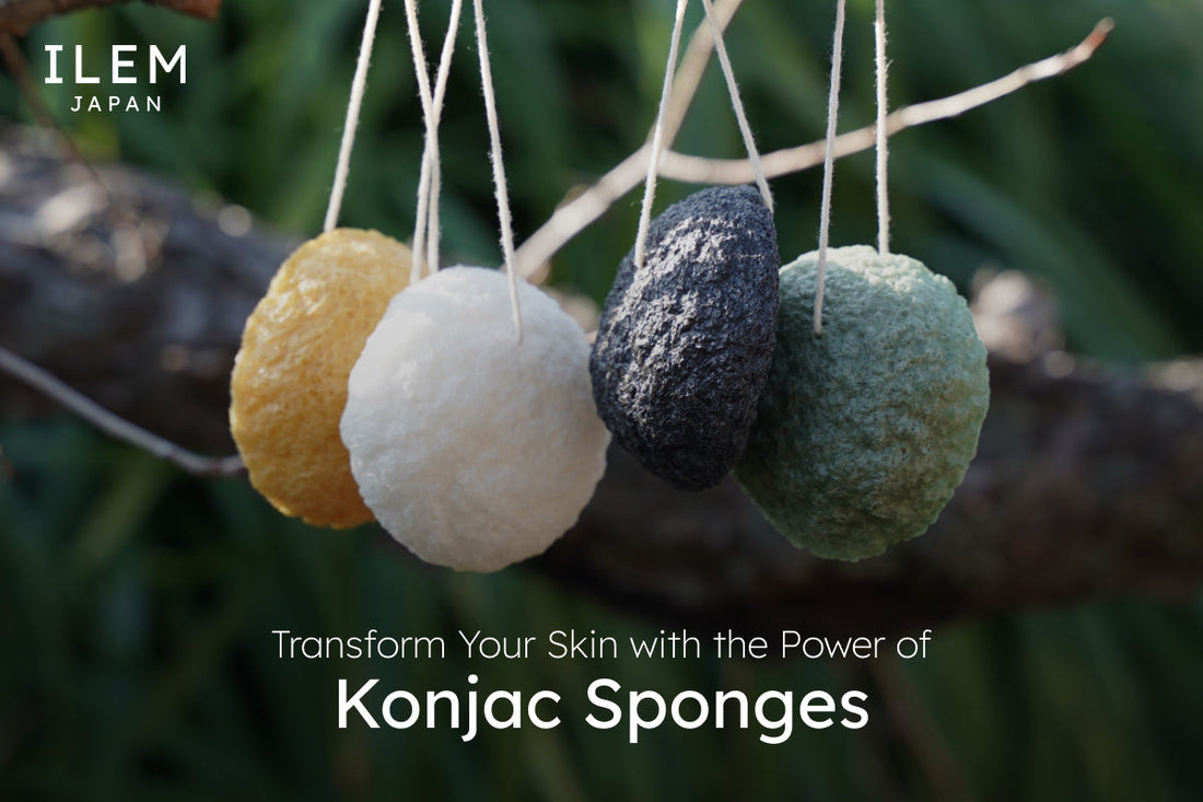 japanese konjac sponge