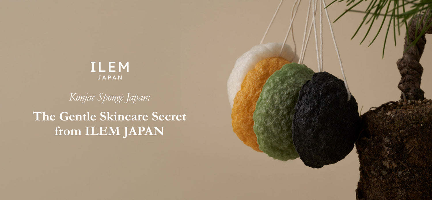  konjac sponge Japan