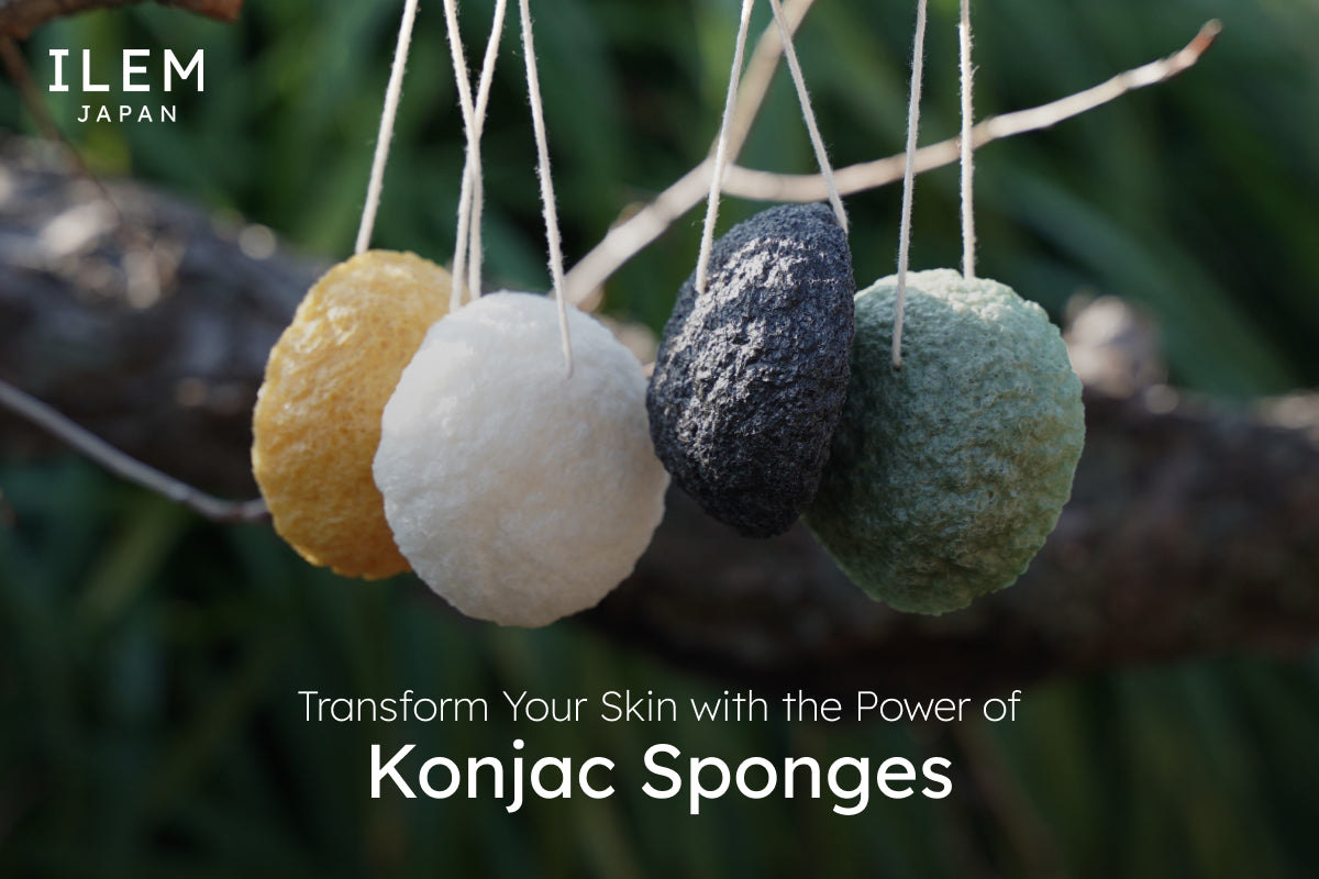  japanese konjac sponge