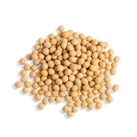 Japanese Hydrolyzed Soybean Extract