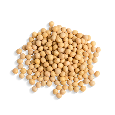 Japanese Hydrolyzed Soybean Extract