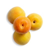Japanese Plum Extract