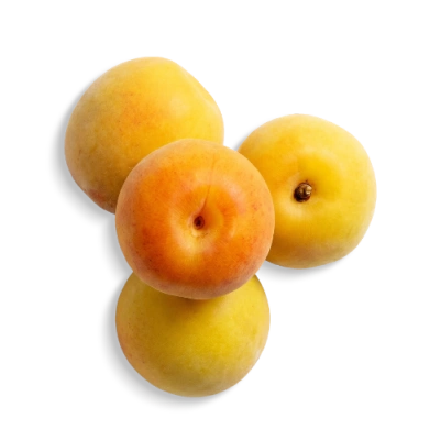 Japanese Plum Extract