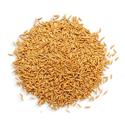 Japanese Rice Bran Extract