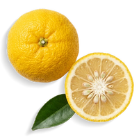 Japanese Yuzu Extract