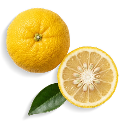 Japanese Yuzu Extract