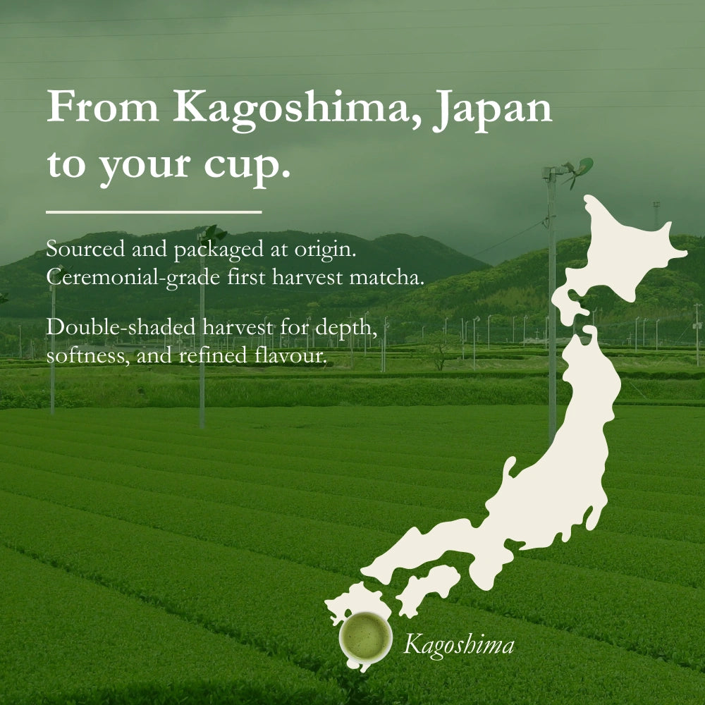 Matcha Japanese Tea