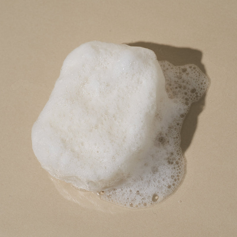 konjac 