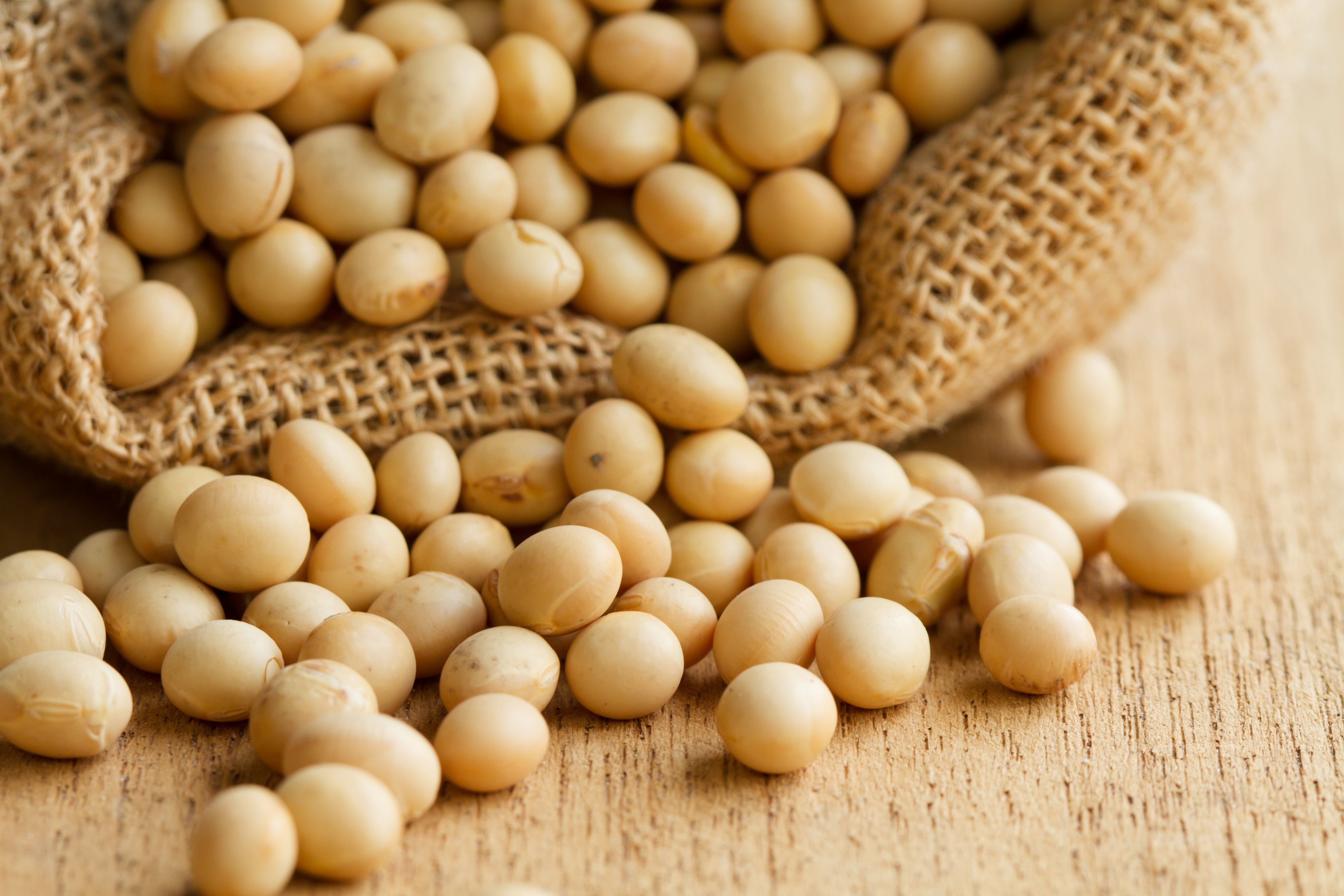 Japanese Hydrolyzed Soybean Extract